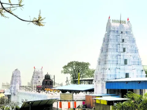 బ్రహ్మోత్సవం.. భక్తగణం 