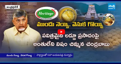 Laddu Prasadam Allegations Over Ghee Tenders 1