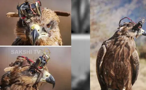 Indian Armys Killer Eagles Shock the World 