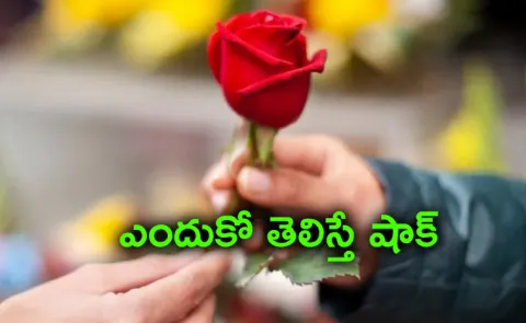 Woman Posts Rose Day Video Now She Faces FIR