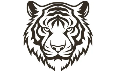 Telangana Forest Dept Uses Trackers and Drones for Tigers