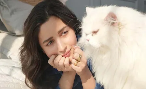  Alia Bhatt said Some life lessons my cats have taught me