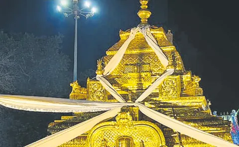 Mallanna Paaga decoration is only in Srisailam