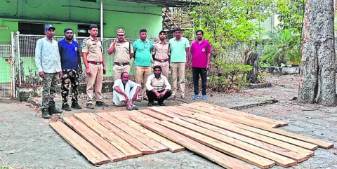 అక్రమంగా నిల్వ ఉంచిన కలప పట్టివేత