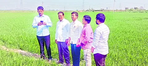 ఈ పంట నమోదుపై సూపర్‌చెక్‌ 