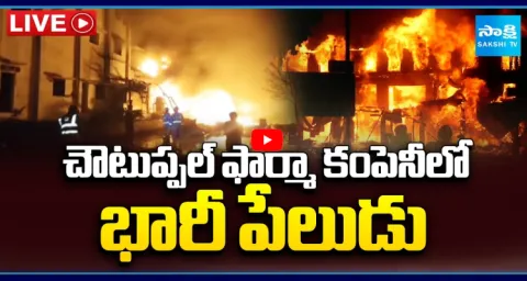 Massive Fire Accident In Brundavanam Pharma Company 1