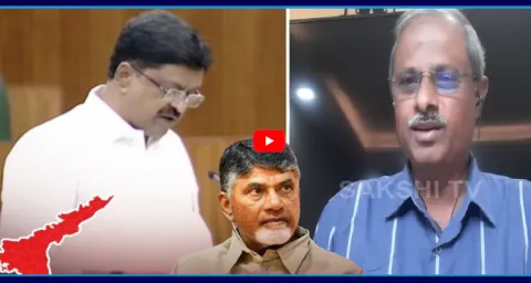 Analyst Purushotham Reddy Comments On Chandrababu Over AP Budget 1