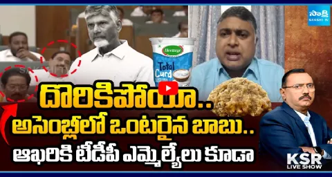 Analyst Indraneel Comments On Chandrababu Speech  1