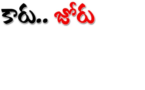 మున్సిపాలిటీల్లో బీఆర్‌ఎస్‌ హవా 