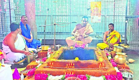 రామలింగేశ్వరాలయంలో శివపార్వతుల కల్యాణం