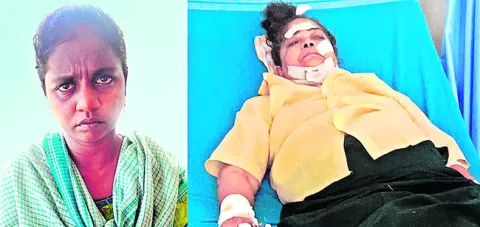 50 మిలియన్‌ టన్నుల సరుకు రవాణాతో రికార్డు 
