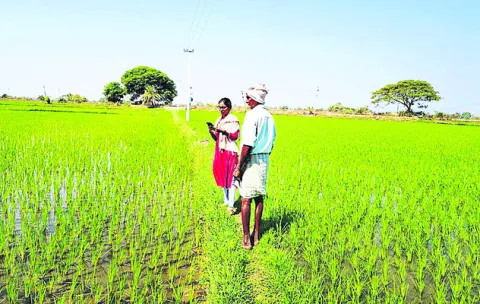 డిజిటల్‌ క్రాప్‌ సర్వేకు సన్నద్ధం