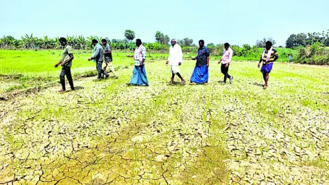 ● నెర్రెలు బారుతోంది... 