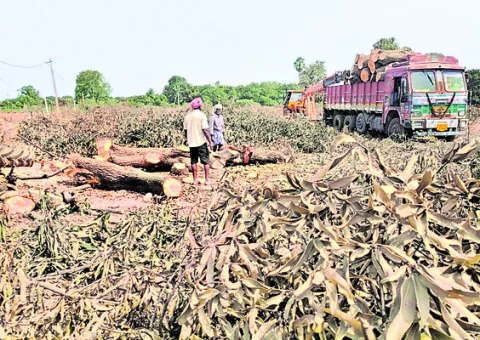 సాగు ఎండమావిడి 