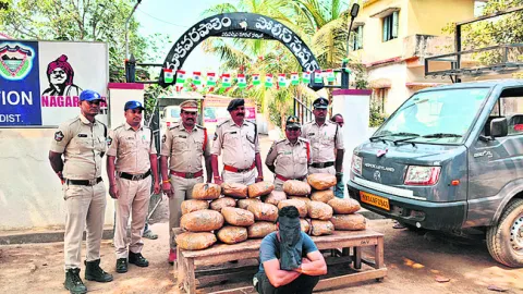 60 కిలోల గంజాయి స్వాధీనం 