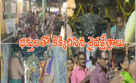 Mahashivratri Celebrations 2026 In Andhra Pradesh And Telangana