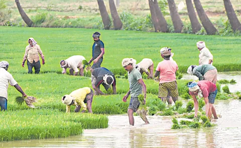 Minister Atchannaidu presents the agriculture budget