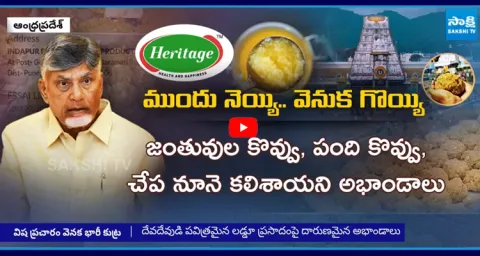 CM Chandrababu Conspiracy on Tirumala Laddu for Heritage Dairy 1