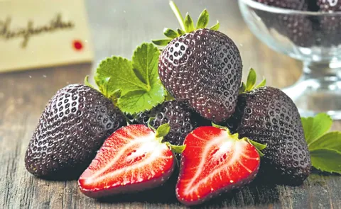 Black strawberries selling for 600 yuan per kg spark buzz in China15