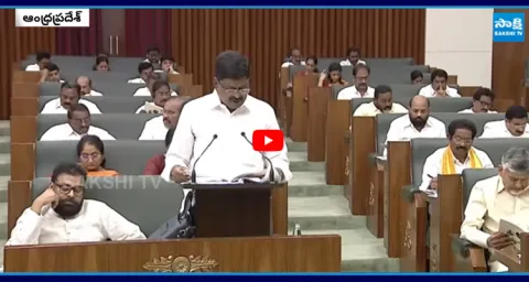 YSRCP Slams Chandrababu Govt Over AP Budget 1