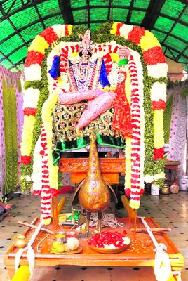 మయూర వాహనంపై మహానందీశ్వరుడి విహారం