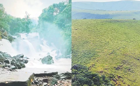 New trends for Polluru tourism