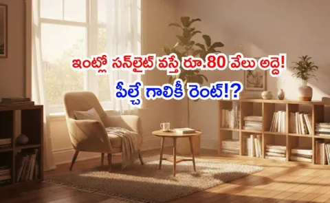 Bengaluru woman quoted Rs 80K month rent for a flat because gets sunlight2