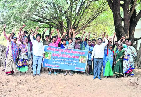 జీడి పిక్కలకు మద్దతు ధర ప్రకటించాలి 