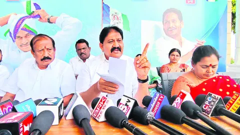 బడ్జెట్‌లో సంక్షోభం మాత్రమే కనిపిస్తోంది