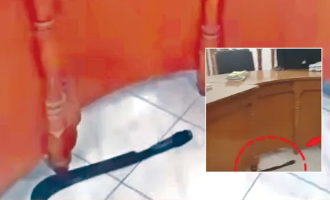 Shocking! Man Attacks Judge Inside Tamil Nadu Court After Verdict 