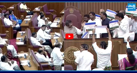 YSRCP MLCs Protest With Placards At Chairman Podium 1