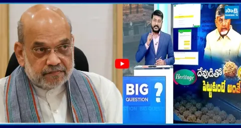 Amit Shah Serious on CM Chandrababu over Heritage Milk and Curd Adulteration 1