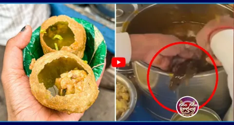 Rat In Panipuri At Amritsar Video Goes Viral  1