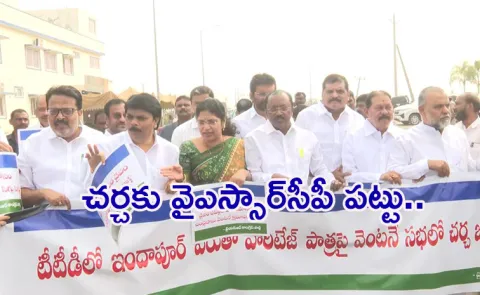 Ysrcp Members Protest In Legislative Council