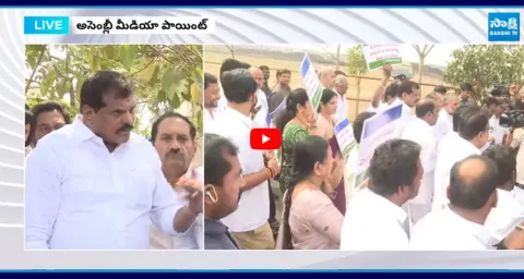 MLC Botsa Satyanarayana Slams Chandrababu 1