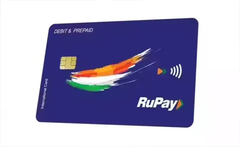 latest RuPay card usage recent government financial reports