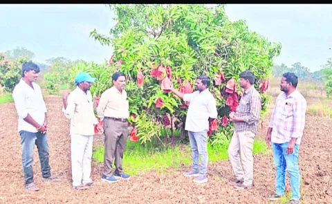 పథకాలను  సద్వినియోగం చేసుకోవాలి