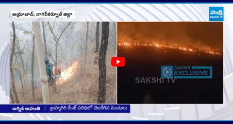 Massive Forest Fire Breaks Out In Nallamala Amrabad Range 1
