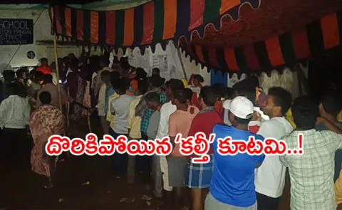 The Wire website on the 2024 Assembly Election data in Andhra Pradesh