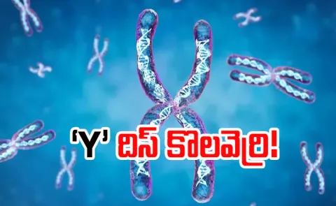 Men lose Y chromosome with age Scientists now link it to shorter lives and serious illness