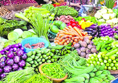 కూరగాయల సాగుకు రూ.9,600 సబ్సిడీ 