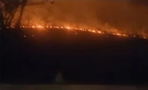 Fire accident in nallamala Brahmagiri Range Mbnr