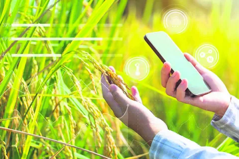 పంటల సర్వేకు వలంటీర్లు 