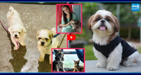 IRCTC Now Allows Online Ticket Booking for Pets in Trains 1