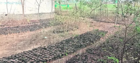 లక్షలు వెచ్చించి లక్షణంగా వదిలేశారు