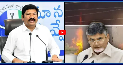 Jogi Ramesh Son Rohit Filed Lunch Motion Petition In AP High Court 2