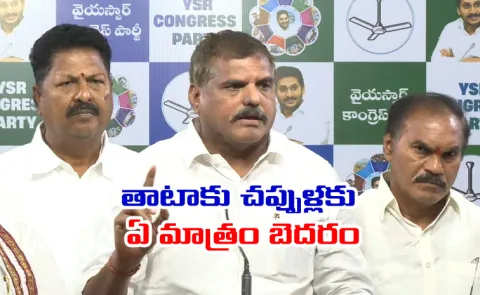 Botsa Satyanarayana Fires on CM Chandrababu