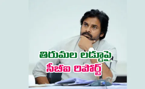 Pawan Kalyan Upset With Janasena Leaders Over Tirumala Laddu Controversy