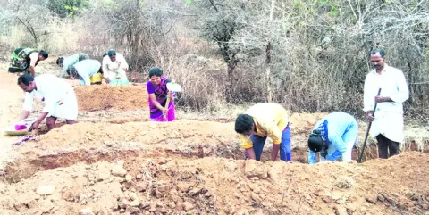 కూలీల హాజరు అంతంతే..