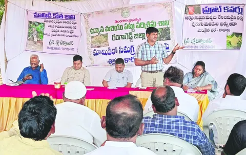 మామిడిలో పూత సమయం కీలకం 